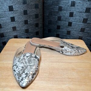 COPY - Women’s Size 12 W Torrid Flats